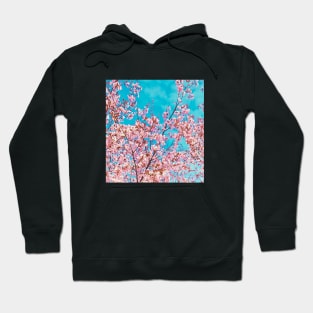 I Heart Cherry Trees Hoodie